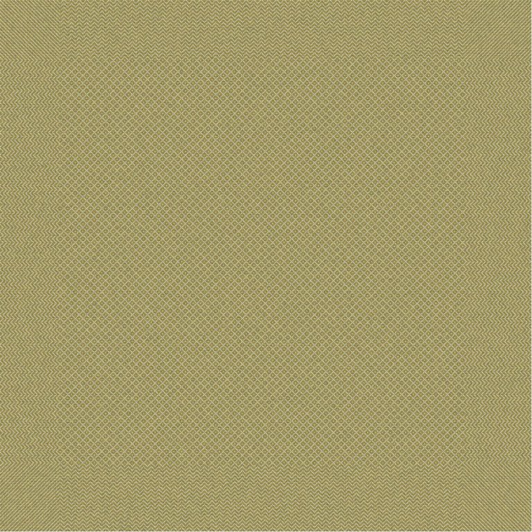 Heildarmynd af hringavaðmálinu hér að framan
