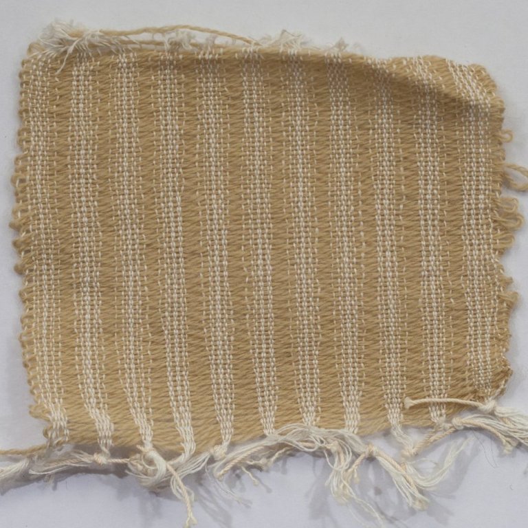 white_fruit_box_sample26-3428_72