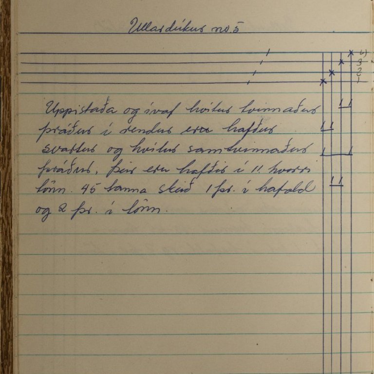 Úr gögnum Solveigar Arnórsdóttur