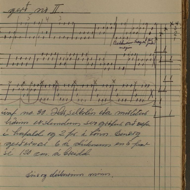 Úr gögnum Solveigar Arnórsdóttur